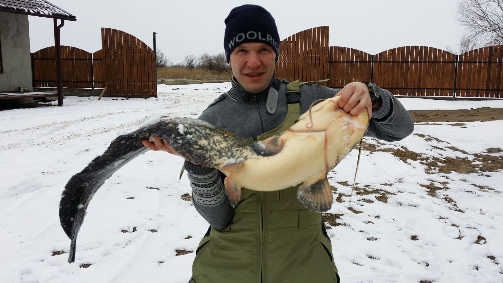 Заголовок